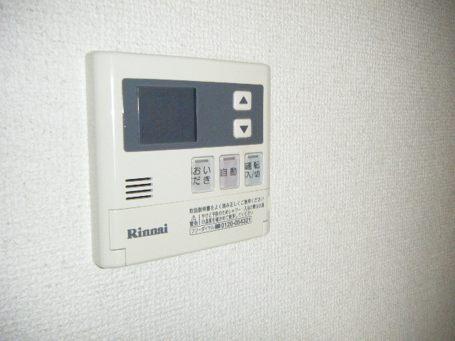 アンプルールリーブルAzumi その他5