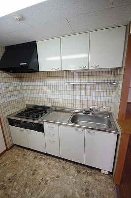 ＮＥＷ ＳＵＮ ＲＩＶＥＲ １３番館（ニューサンリバー１３番館） キッチン