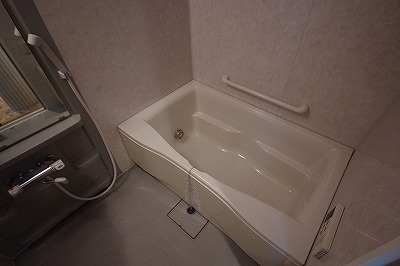 ＮＥＷ ＳＵＮ ＲＩＶＥＲ １３番館（ニューサンリバー１３番館） 風呂画像