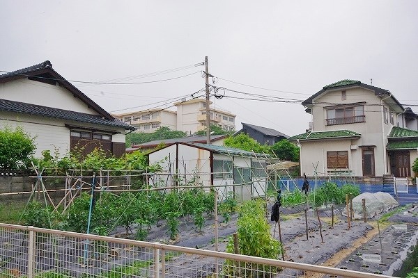 コンフォール  その他28