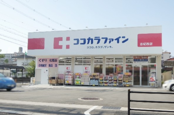 グランディエビス ドラッグストア