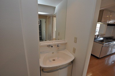 ルピナス守恒 その他2