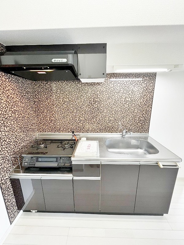 Ｆｅｌｔ１１１３（フェルト１１１３） その他21