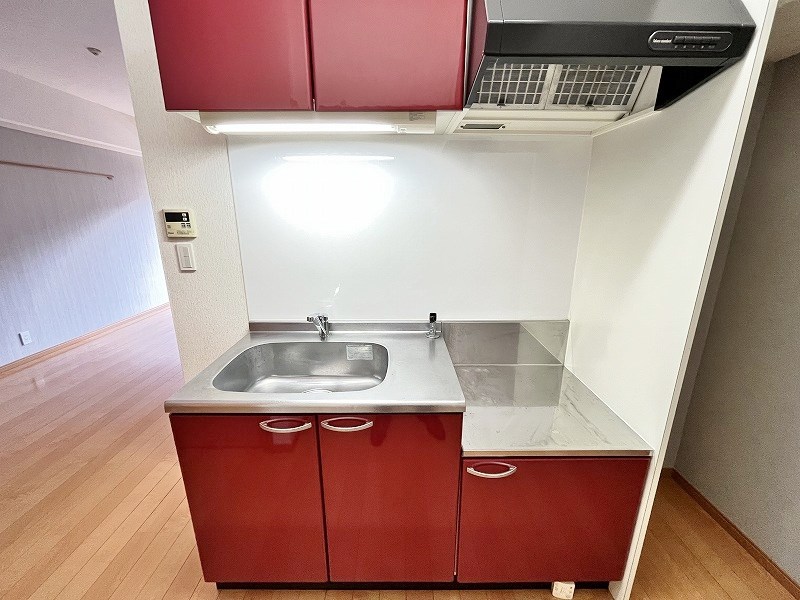 Ｆｅｌｔ５１５（フェルト５１５） その他25