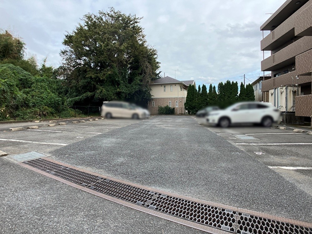 キング・ペレ その他15