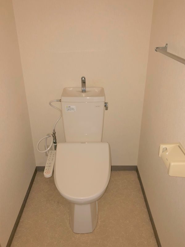 キング・ペレ その他2