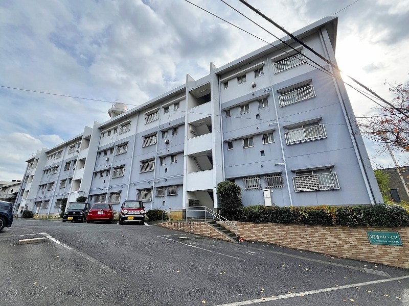 御告川ハイツ 206号室 外観