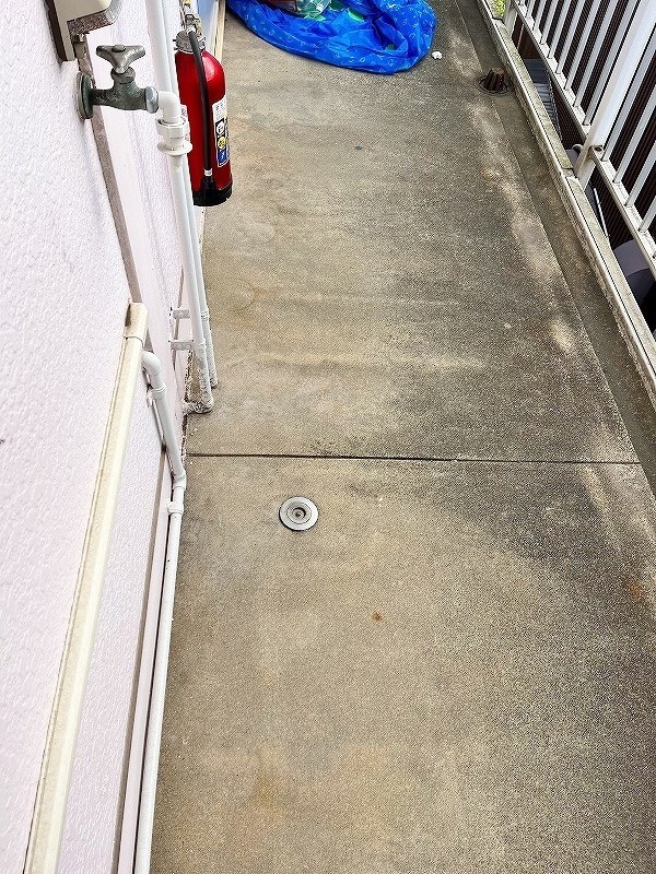 パナハイツ若園  玄関