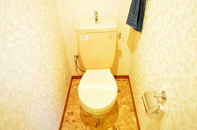 ＮＥＷ ＳＵＮ ＲＩＶＥＲ １３番館（ニューサンリバー１３番館） その他6