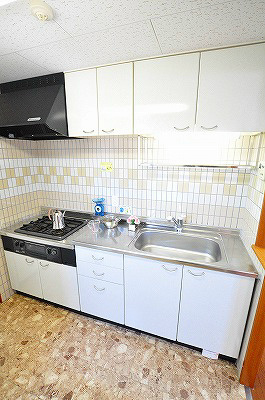 ＮＥＷ ＳＵＮ ＲＩＶＥＲ １３番館（ニューサンリバー１３番館） キッチン