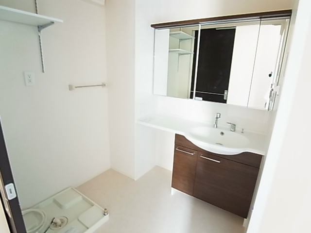 バリスサイトＦ その他2