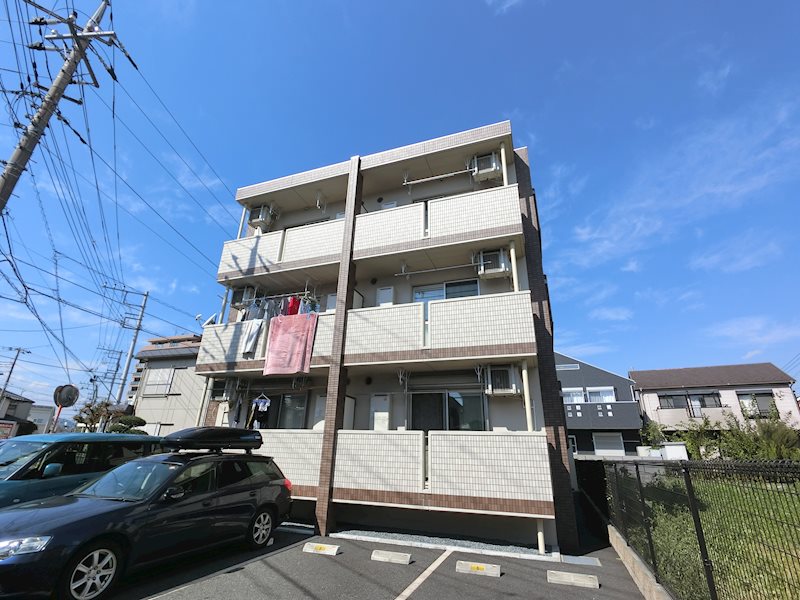 ポケット 外観