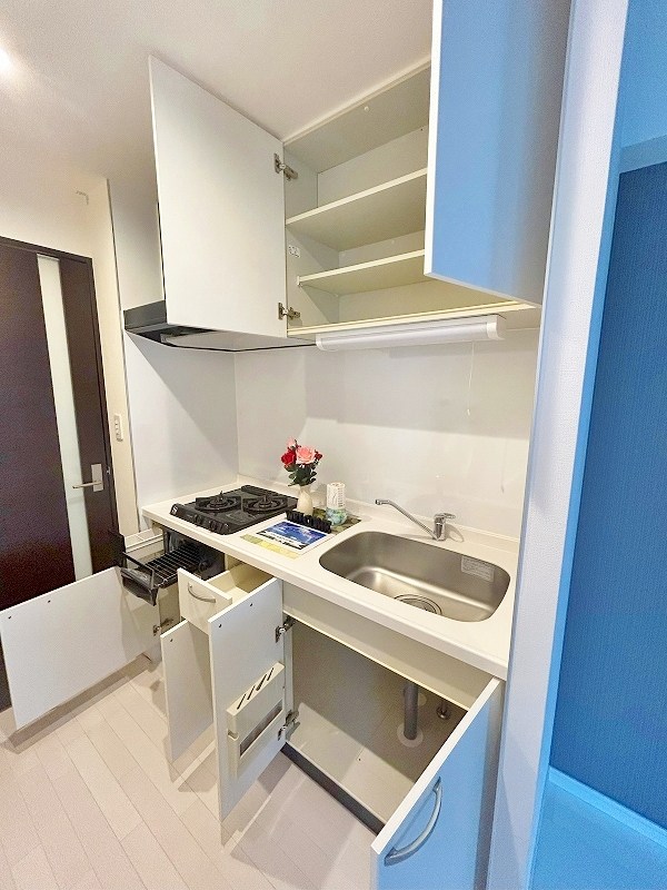 Designer Princess Riverside (デザイナープリンセスリバーサイド)  その他21