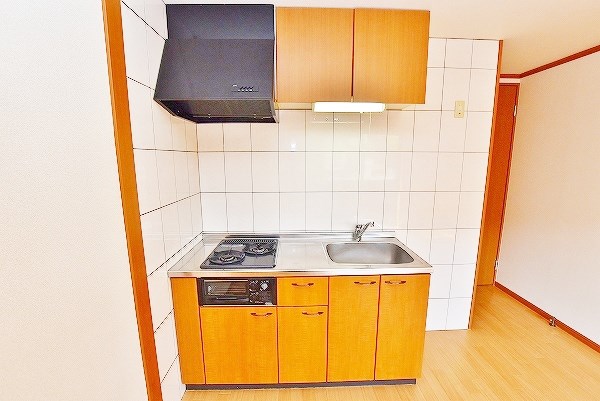 ファーストアルカディア その他30