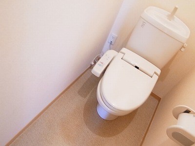 グリーンテリア第10 その他1