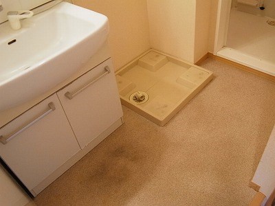 グリーンテリア第10 その他2