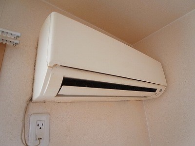 グリーンテリア第10 その他5