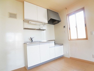 グリーンテリア第10 キッチン