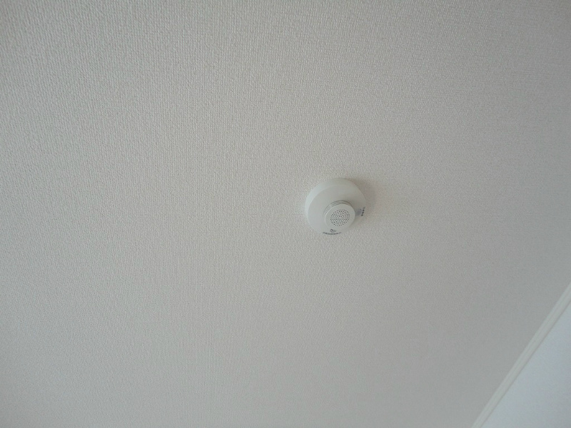 ハチマル その他