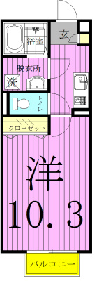 アムールＬ.Ａ 205号室 間取り