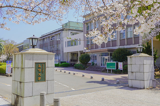 ＳＥＶＥＮ ＢＩＬＬ 大学・短大