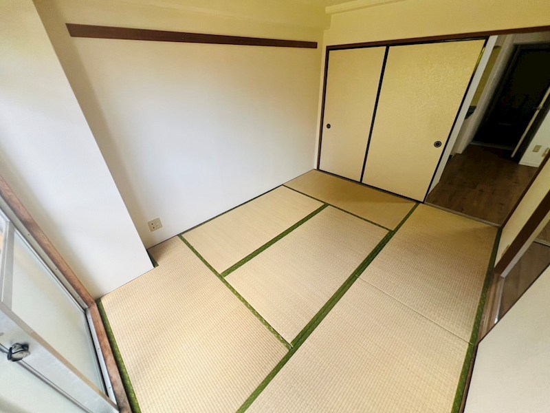 その他19