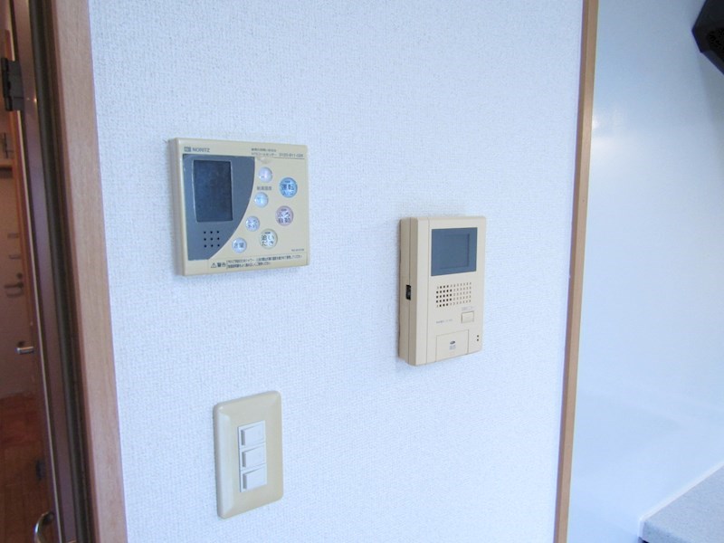 ラビアンローズ その他4