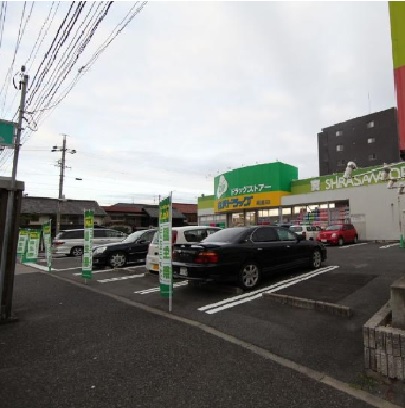 愛知県名古屋市中村区高道町６丁目 ドラッグストア