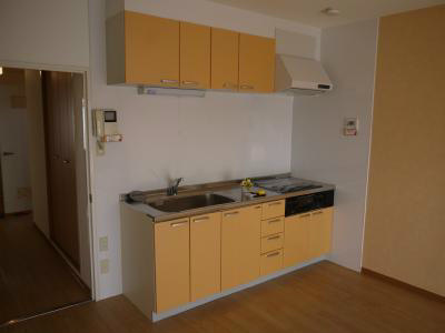 第二寺田マンション その他
