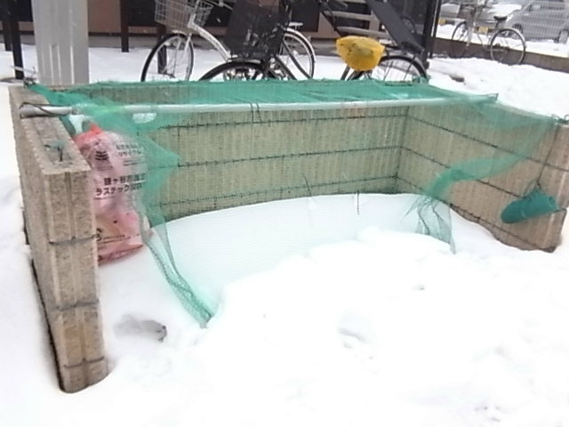 アムールみどりⅡ その他外観2