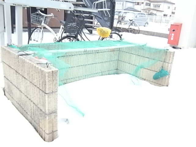 アムールみどりⅡ その他外観5