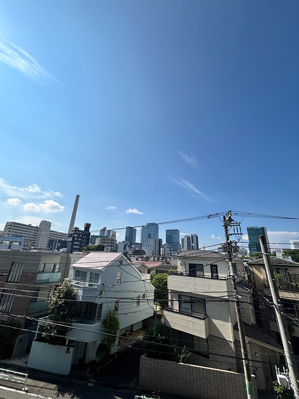 グラマシー恵比寿 眺望