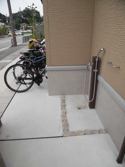 レグルス その他