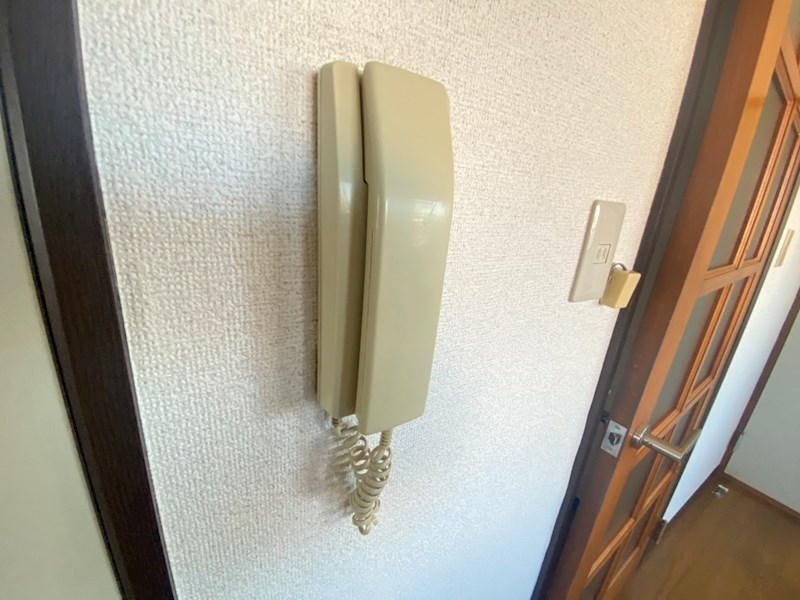 ラフィーヌ・太陽 その他4