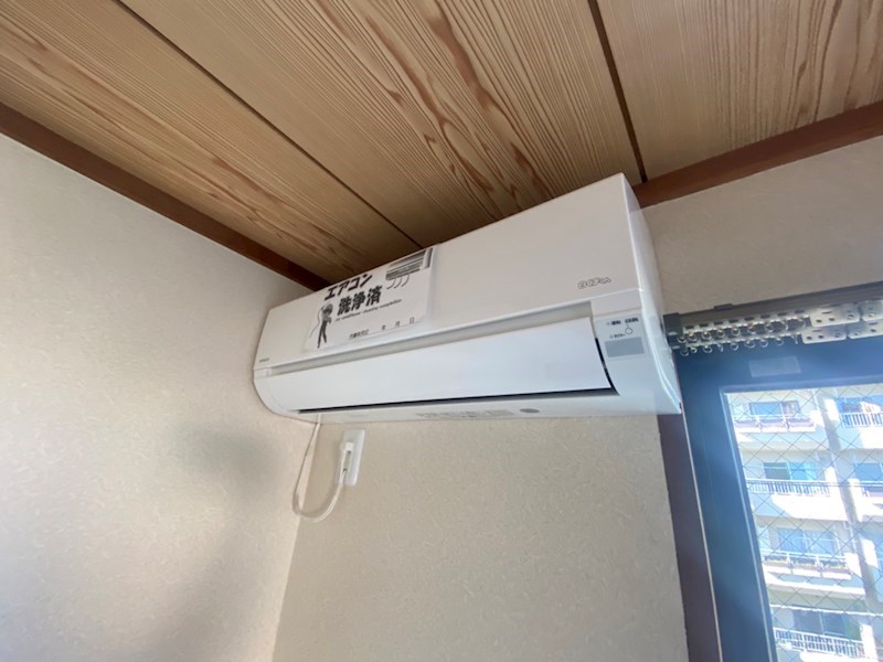 ラフィーヌ・太陽 その他5