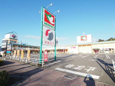 カーペンターハウスⅢ スーパー