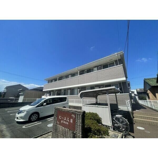 ピーヌスI その他1