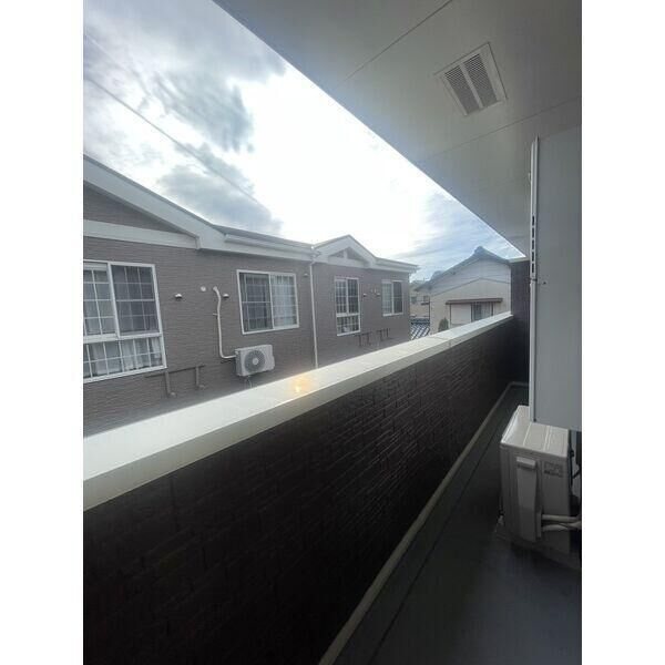 ピーヌスI その他7