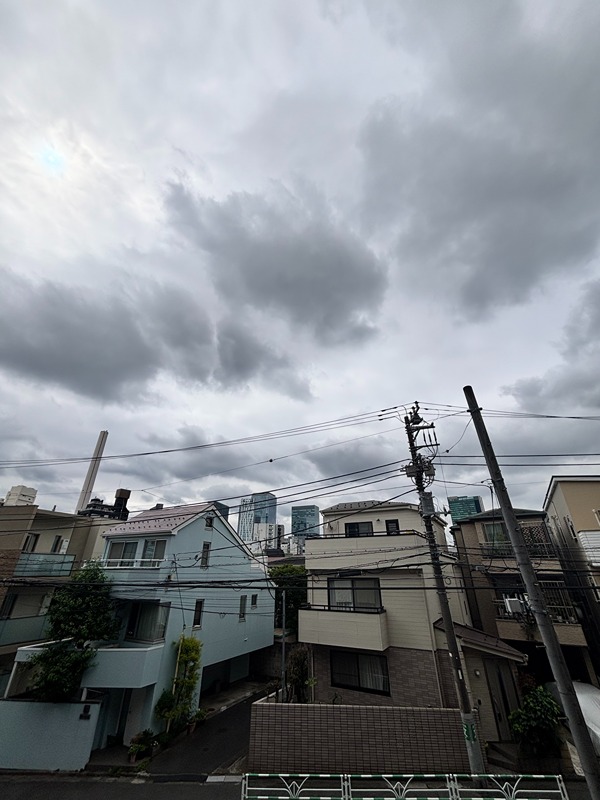 グラマシー恵比寿 眺望