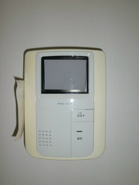 シルヴァーノ その他4