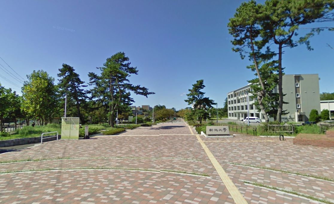 シリウス 大学・短大