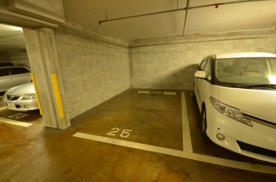 グランドパレスロイヤルコート大手町  その他33