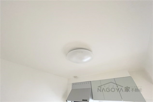 レスカール白金 その他9