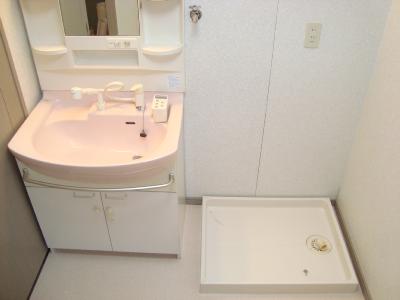 レリディアンスビューマ その他3