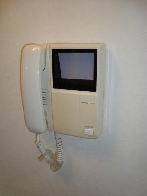 レリディアンスビューマ その他5