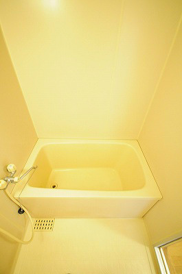 リビヨン藤嶋  風呂画像