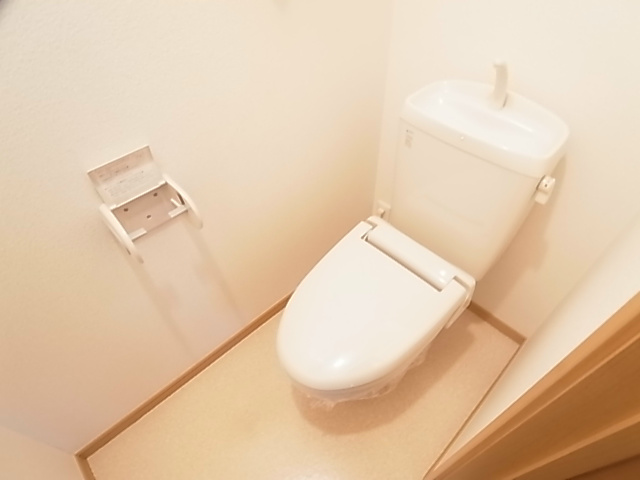 フィオーレ、Y その他1