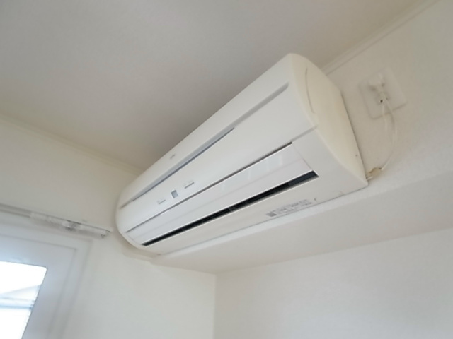 フィオーレ、Y その他6