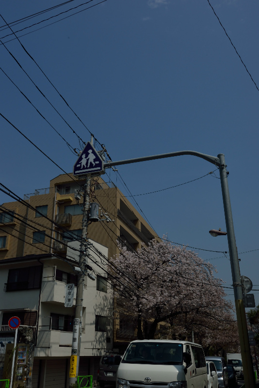 ポップビレッジＭ その他外観2