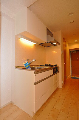 ベーシックグローブ キッチン